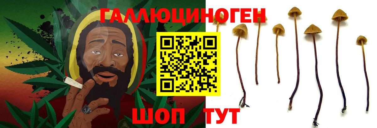 Галлюциногенные грибы Psilocybe  Вход с VPN  Фурманов  Псилоцибиновые грибы мухоморы 